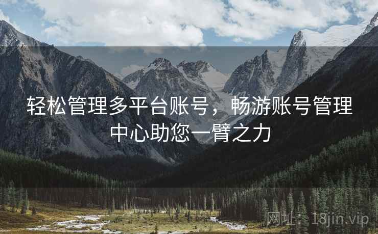 轻松管理多平台账号，畅游账号管理中心助您一臂之力  第2张