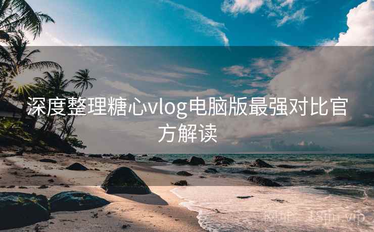 深度整理糖心vlog电脑版最强对比官方解读  第2张