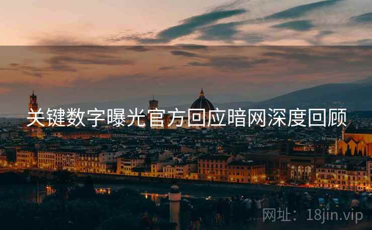 关键数字曝光官方回应暗网深度回顾