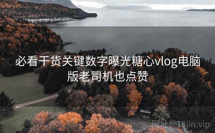 必看干货关键数字曝光糖心vlog电脑版老司机也点赞