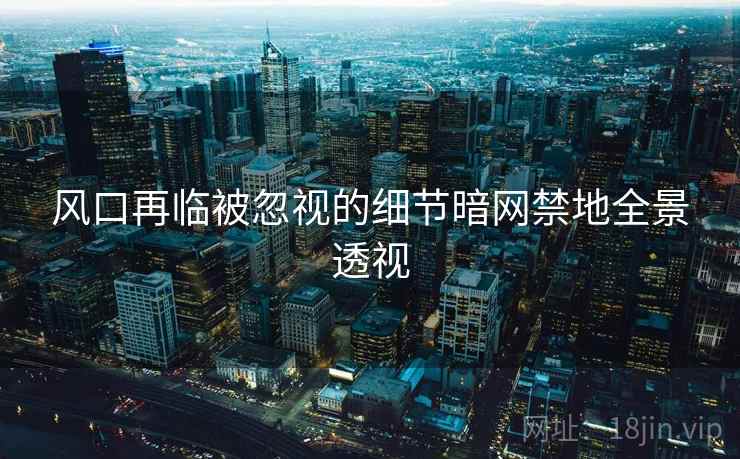风口再临被忽视的细节暗网禁地全景透视