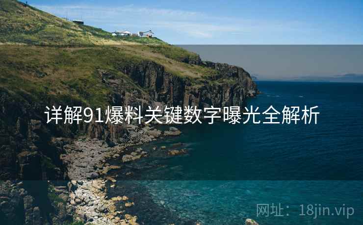 详解91爆料关键数字曝光全解析