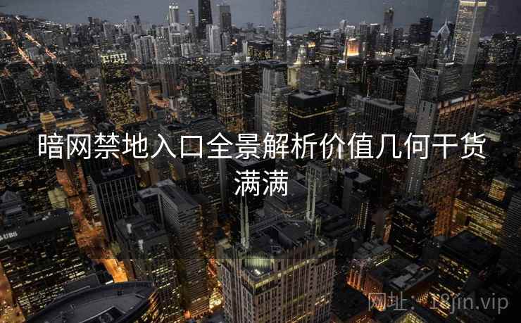 暗网禁地入口全景解析价值几何干货满满