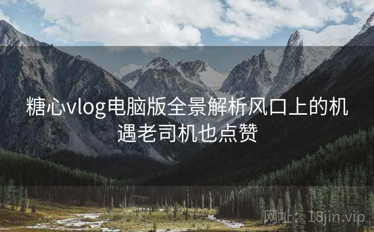 糖心vlog电脑版全景解析风口上的机遇老司机也点赞