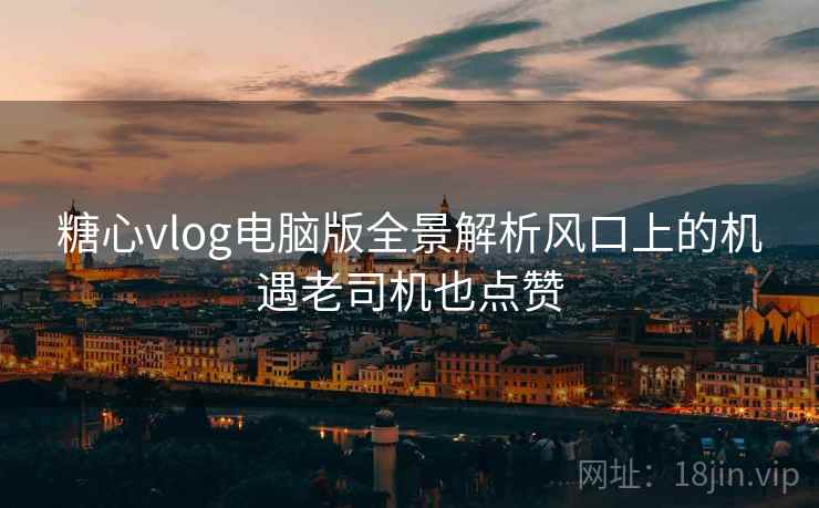 糖心vlog电脑版全景解析风口上的机遇老司机也点赞