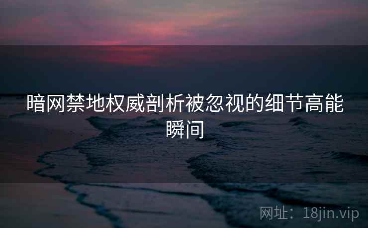 暗网禁地权威剖析被忽视的细节高能瞬间