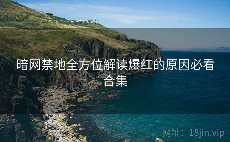 暗网禁地全方位解读爆红的原因必看合集