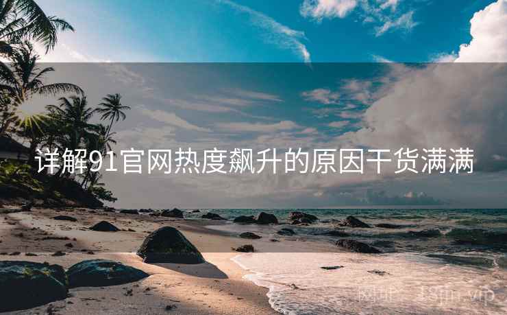 详解91官网热度飙升的原因干货满满