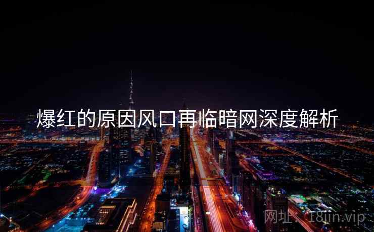 爆红的原因风口再临暗网深度解析