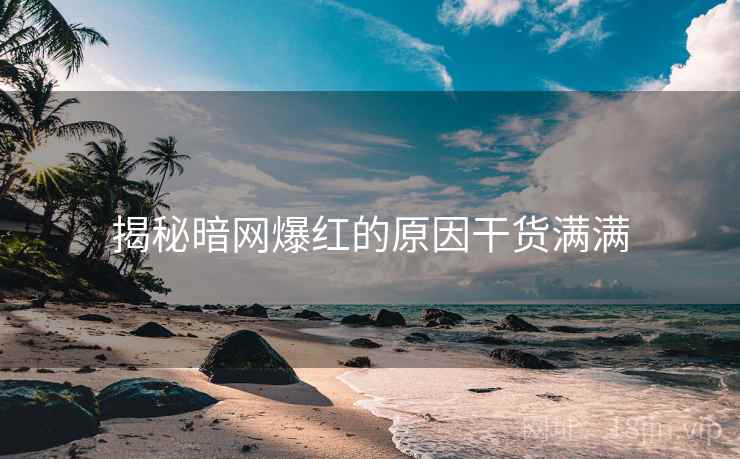 揭秘暗网爆红的原因干货满满