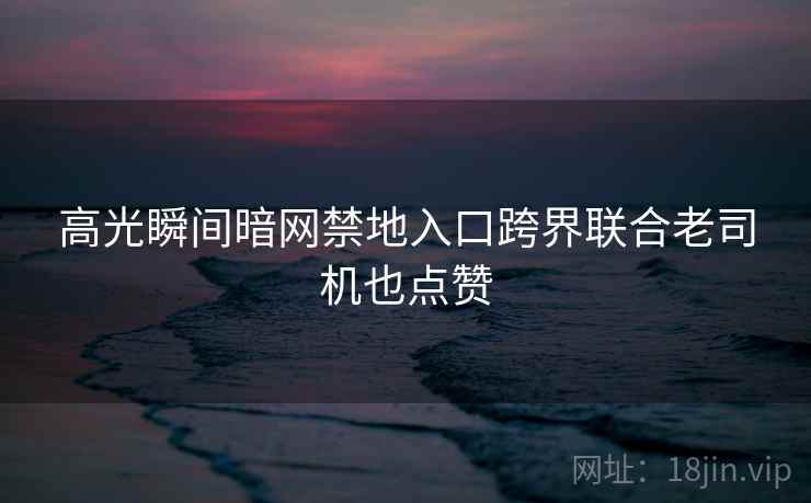 高光瞬间暗网禁地入口跨界联合老司机也点赞
